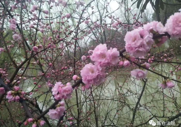 分享实测“德州wepoker透视挂真的吗(透视)详细开挂教程玩法