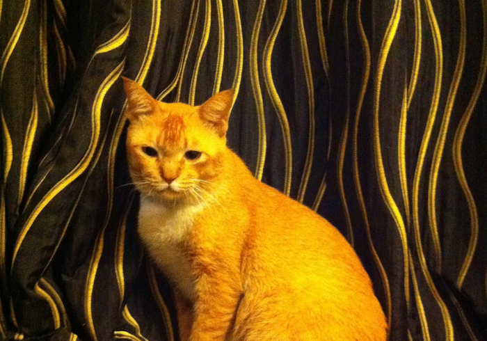 教程辅助工具智星德州透视到底真的假的(透视挂)辅助透视教程 教程辅助工具智星德州透视到底真的假的(透视挂)辅助透视教程