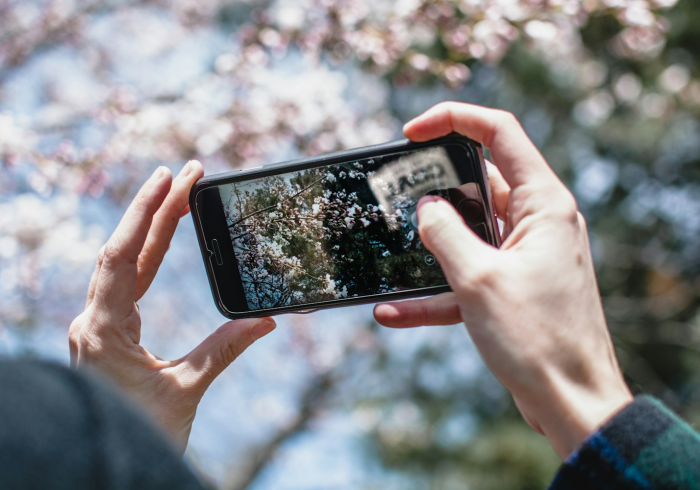 必备教程“手机四川麻将万能开挂神器(透视)”其实确实有挂